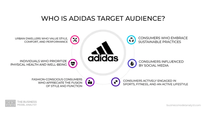  An infographic explaining the audience of Adidas 