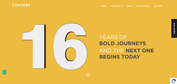 Logo and branding website layout for Rioconn 