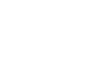Torrent Logo